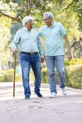 Obraz premium Happy senior men admiring view at park