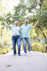 Obraz premium Happy senior men admiring view at park