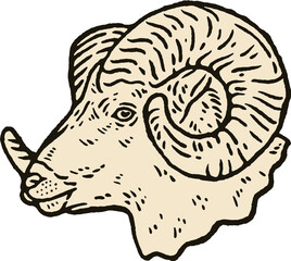 head goat vintage illustration