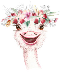Obraz premium A trendy poster with a ostrich. Watercolor cartoon ostrich savanna animal illustration. Jungle savannah tropical exotic summer print