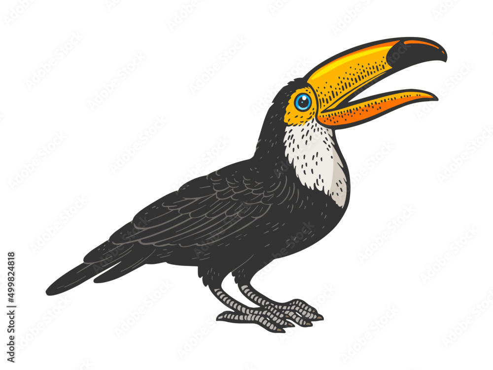 Wall mural Toucan bird line art color sketch engraving vector illustration. T-shirt apparel print design. Scratch board imitation. Black and white hand drawn image.