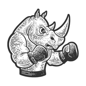 rhinoceros boxer sketch engraving vector illustration. T-shirt apparel print design. Scratch board imitation. Black and white hand drawn image.