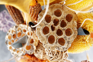 Dry lotus flower close-up