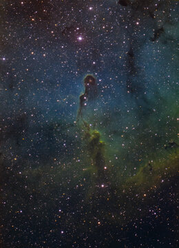 The Elephants trunk nebula (IC1396) in the constellation of Cepheus
