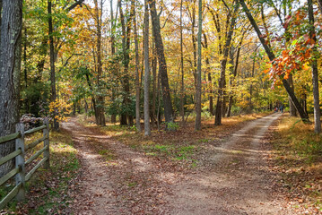 Fototapeta premium Fork in the Road