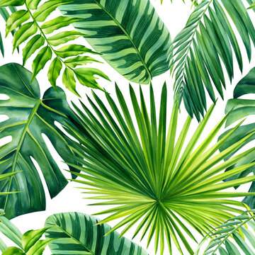 Tropical palm leaves, jungle leaves seamless watercolor floral pattern