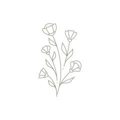 Simple wild pretty flower bouquet natural plant wall art print logo design vector illustration