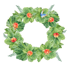 Cloudberry wreath with leaves, berries and butterfly. Isolated on white background. Watercolor hand drawn illustration. Ideal for cards and invitaton design.