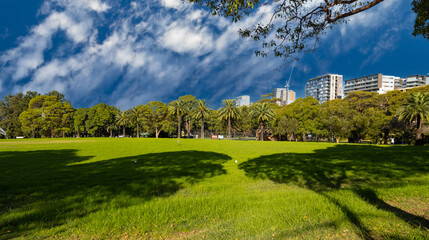 Naklejka premium View of Burwood Skyline a Sydney suburb palms trees nice buildings blue skies NSW Australia
