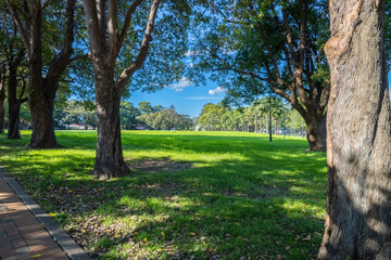 beautiful park with birds palm trees ponds waterfalls foot bridge lush green grass and trees in Burwood a suburban Sydney town NSW Australia