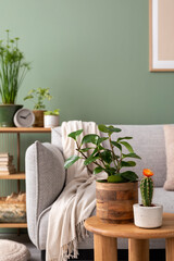 Stylish composition of cozy living room interior with design poster frames, plants, beige sofa,...