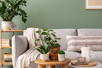 Stylish composition of home garden interior filled a lot of plants, succulents, air plant in...