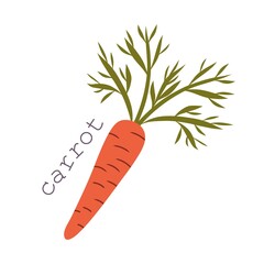 Flat cartoon carrot isolated on white background. Red carrot drawing with green haulm. Fresh vegetarian food icon - colorful vector illustration.