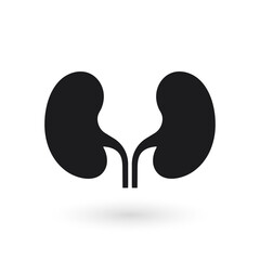 Kidney icon vector. Urology logo design template. Vector