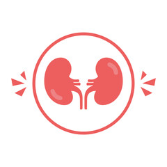 Kidney icon vector. Urology logo design template. Kidney organ glyph icon. Vector