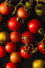 Cherry Tomatoes Close Up on Black Background.
