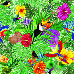 Toucan, colibris, perroquets Ara et autres oiseaux sauvages dans la jungle Vector Seamless Pattern Textile Répéter