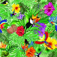 Photo sur Plexiglas Dessiner Toucan, colibris, perroquets Ara et autres oiseaux sauvages dans la jungle Vector Seamless Pattern Textile Répéter
