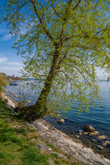 Seepromenade &Uuml;berlingen am Bodensee blauer Himmel und Sonnenschein 