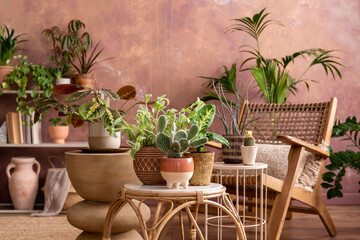 Stylish composition of creative botany living room interior with armchair, coffee table, a lot of plants and accessories. Wooden furniture, grunge walls and parquet floor. Template. 
