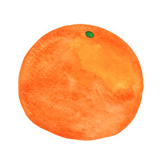 orange watercolor illustration for decoration on food and agriculture concept.