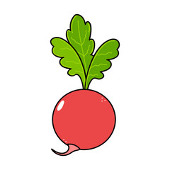 Cute funny radish character. Vector hand drawn traditional cartoon vintage, retro, kawaii character illustration icon. Isolated on white background. Radish character concept