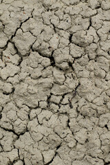 brown dry cracked land