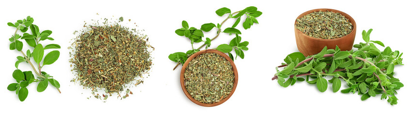 Oregano or marjoram leaves fresh and dry isolated on white background. Top view. Flat lay. Set or collection - obrazy, fototapety, plakaty