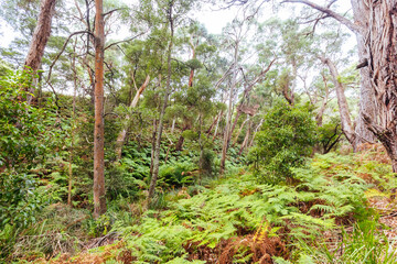 Two Bays Walking Track in Australia