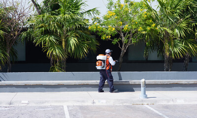Rear view of a Mexican specialist spraying in an urban area of Playa del Carmen, Mexico.