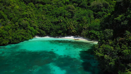 Obraz premium waterfall in the forest