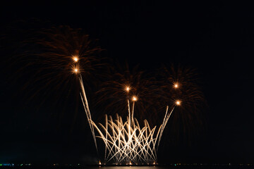 Fireworks light up the sky.