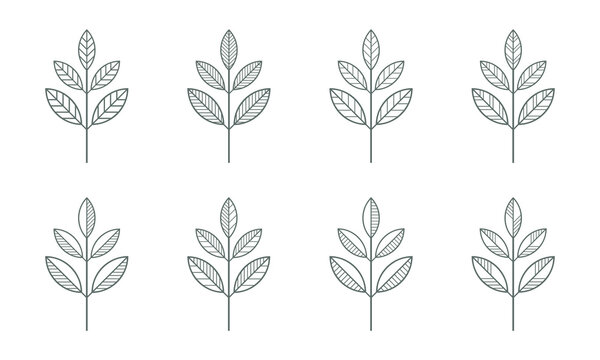 Branches icons vector set. Contour line leaves illustration isolated on white. Floral design element for print, background, banner or card. Ecology symbol, environment concept, eco sign or logo.