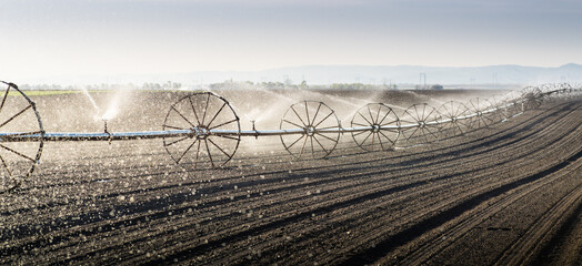 Irrigating the field at dusk