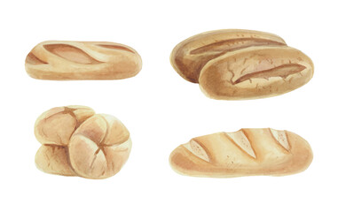 Watercolor hand-drawn different types of bread. Bread and rolls vector illustration.