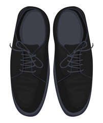 pair of elegant male shoes