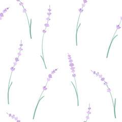 Vector seamless pattern with purple lavender and white background