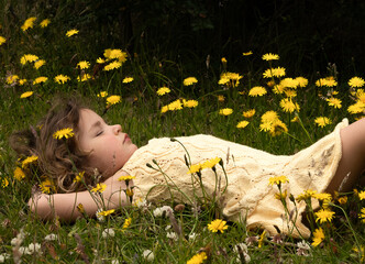 Little girl in yellow dress laying among yellow dandelion flowers in summer in the garden. High...