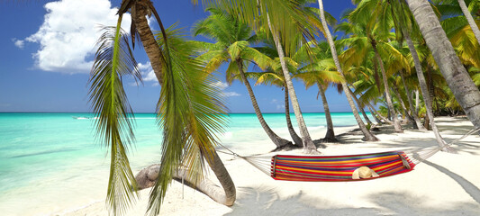hammock on the tropical beautiful beach