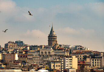 Naklejka premium galata tower