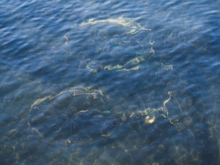 A bicycle lies at the seaground of a lake