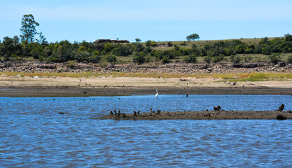 A calm seascape view with various birds on a shore in Uruguay, Tacuarembo, San Gregorio de Polanco