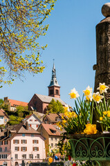 Fototapete bei efototapeten.de bestellen   