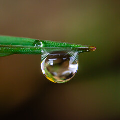 Gota de agua