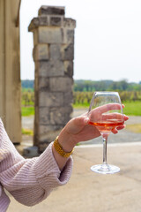 Main qui tient une verre de vin rosé devant un vignoble 1 - 499853466