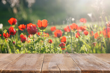 wooden rustic table in front of field red poppies. product display and picnic concept