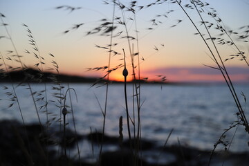 sunset on the lake