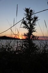 sunset on the lake