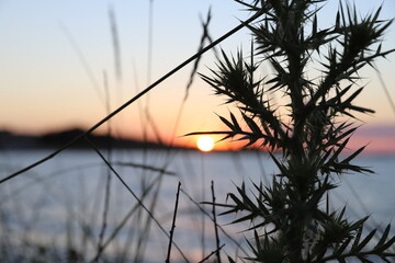 sunset over the lake