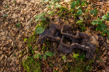 a large old rusty piece of iron is lying in the forest